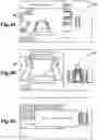 Fig. 04 - Image display system
