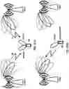 Fig. 22 - Power control for multiple panels in radio system