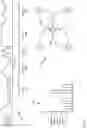 Fig. 18 - Control of sexual stimulation devices using electroencephalography