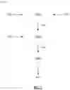 Fig. 02 - ENCAPSULATED NICOTINE GRANULES AND METHODS OF PREPARATION THEREOF