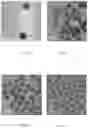 Fig. 02 - Nanoparticle Capable of Loading and Releasing Active Constituents, Production Method and Application Thereof