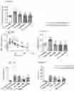 Fig. 06 - PHYTOCANNABINOIDS FOR PREVENTING OR TREATING NON-ALCOHOLIC FATTY LIVER DISEASE, DYSLIPIDEMIA, AND TYPE 2 DIABETES