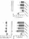 Fig. 08 - PHYTOCANNABINOIDS FOR PREVENTING OR TREATING NON-ALCOHOLIC FATTY LIVER DISEASE, DYSLIPIDEMIA, AND TYPE 2 DIABETES