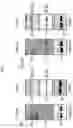 Fig. 06 - PHARMACEUTICAL COMPOSITION FOR PREVENTING OR TREATING BONE DISEASES