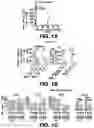 Fig. 02 - Methods and Compositions for Treating Cancer