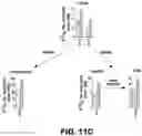 Fig. 28 - Methods and Compositions for Treating Cancer