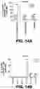 Fig. 32 - Methods and Compositions for Treating Cancer