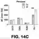Fig. 33 - Methods and Compositions for Treating Cancer