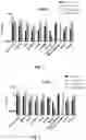 Fig. 02 - NEW CLASS OF ANTIBIOTICS HAVING LOW MIC-VALUES TOWARDS DIFFERENT STRAINS OF BACTERIA