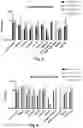 Fig. 03 - NEW CLASS OF ANTIBIOTICS HAVING LOW MIC-VALUES TOWARDS DIFFERENT STRAINS OF BACTERIA