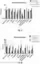 Fig. 04 - NEW CLASS OF ANTIBIOTICS HAVING LOW MIC-VALUES TOWARDS DIFFERENT STRAINS OF BACTERIA