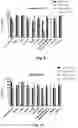 Fig. 06 - NEW CLASS OF ANTIBIOTICS HAVING LOW MIC-VALUES TOWARDS DIFFERENT STRAINS OF BACTERIA