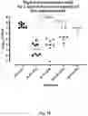 Fig. 12 - NEW CLASS OF ANTIBIOTICS HAVING LOW MIC-VALUES TOWARDS DIFFERENT STRAINS OF BACTERIA