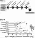 Fig. 04 - Compositions and Methods for Identifying and Treating Dystonia Disorders
