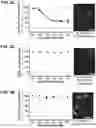 Fig. 07 - Compositions and Methods for Identifying and Treating Dystonia Disorders