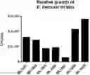 Fig. 01 - PROBIOTIC COMPOSITIONS FOR PRODUCTION OF DOPAMINE