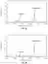 Fig. 07 - PROBIOTIC COMPOSITIONS FOR PRODUCTION OF DOPAMINE