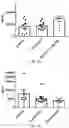 Fig. 22 - PROBIOTIC COMPOSITIONS FOR PRODUCTION OF DOPAMINE