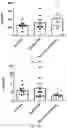 Fig. 26 - PROBIOTIC COMPOSITIONS FOR PRODUCTION OF DOPAMINE