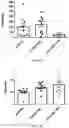 Fig. 29 - PROBIOTIC COMPOSITIONS FOR PRODUCTION OF DOPAMINE