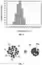 Fig. 06 - HEMOGLOBIN-BASED NANOPARTICLES FOR OXYGEN DELIVERY