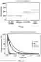 Fig. 09 - HEMOGLOBIN-BASED NANOPARTICLES FOR OXYGEN DELIVERY