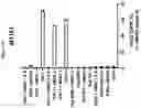 Fig. 197 - METHODS AND COMPOSITIONS FOR T-CELL COCULTURE POTENCY ASSAYS AND USE WITH CELL THERAPY PRODUCTS