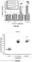 Fig. 10 - CLOSTRIDIOIDES DIFFICILE TCDB VARIANTS, VACCINES AND METHODS OF USE