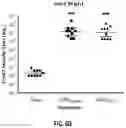 Fig. 12 - CLOSTRIDIOIDES DIFFICILE TCDB VARIANTS, VACCINES AND METHODS OF USE