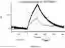 Fig. 652 - ANTIGEN-BINDING PROTEIN CONSTRUCTS AND USES THEREOF