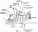 Fig. 02 - NASAL NEUROMODULATION DEVICES AND METHODS