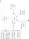 Fig. 07 - System for presenting robotic data flows for application development