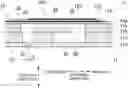 Fig. 01 - Liquid discharging head