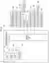 Fig. 04 - Display device for vehicle