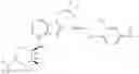 Fig. 1908 - Methods and compounds for restoring mutant p53 function