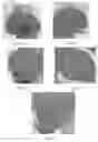 Fig. 02 - Polyurethane compositions, products prepared with same and preparation methods thereof