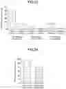 Fig. 13 - METHOD FOR DETECTING PARTICULATE SUBSTANCE USING IMMUNOCHROMATOGRAPHY, AND KIT FOR SAME