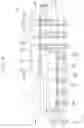 Fig. 09 - Semiconductor package