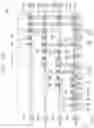 Fig. 17 - Semiconductor package