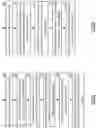 Fig. 07 - Recovering a data chunk from a portion of a set of encoded data slices