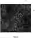 Fig. 07 - CORAL FARMING METHOD, SYSTEM AND PRODUCT THEREOF