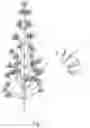 Fig. 02 - Decorative Tree