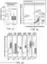 Fig. 05 - CAPTURING TRUNCATED PROTEOFORMS IN EXHALED BREATH FOR DIAGNOSIS AND TREATMENT OF DISEASES