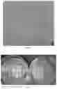 Fig. 02 - MODIFIED PEARLESCENT POWDER, METHOD OF PREPARING THE SAME, AND COSMETICS INCLUDING THE SAME