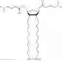 Fig. 320 - Ribose cationic lipids