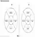Fig. 08 - COMPOSITIONS AND METHODS FOR TREATING EYES AND METHODS OF PREPARATION