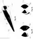 Fig. 07 - CATHETER
