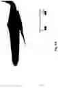 Fig. 09 - CATHETER