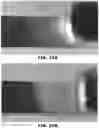 Fig. 22 - Sorting Biological and Non-Biological Moieties Using Magnetic Levitation