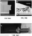 Fig. 41 - Sorting Biological and Non-Biological Moieties Using Magnetic Levitation
